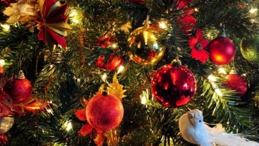 ПРИГЛАШЕНИЕ