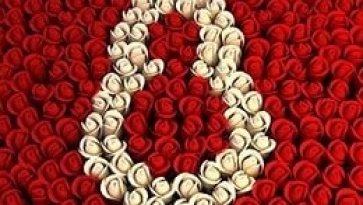 Дорогие и любимые женщины! Поздравляем Вас с 8 Марта!